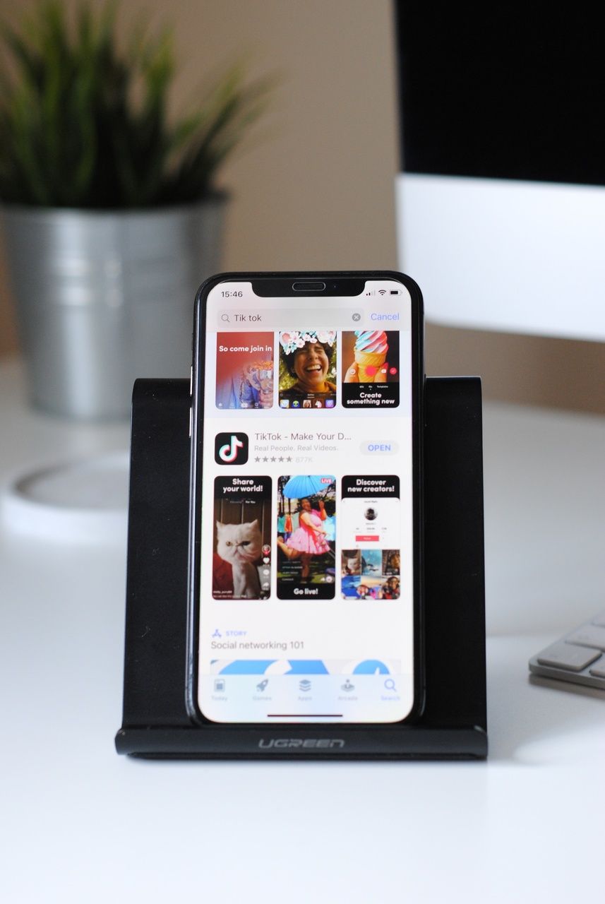 a phone screen when the TikTok app shown on Apple Store